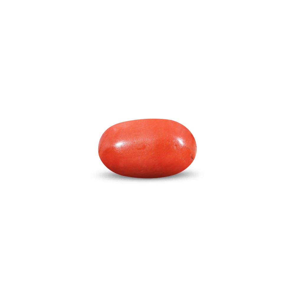 Red Coral - 8.88 Carat