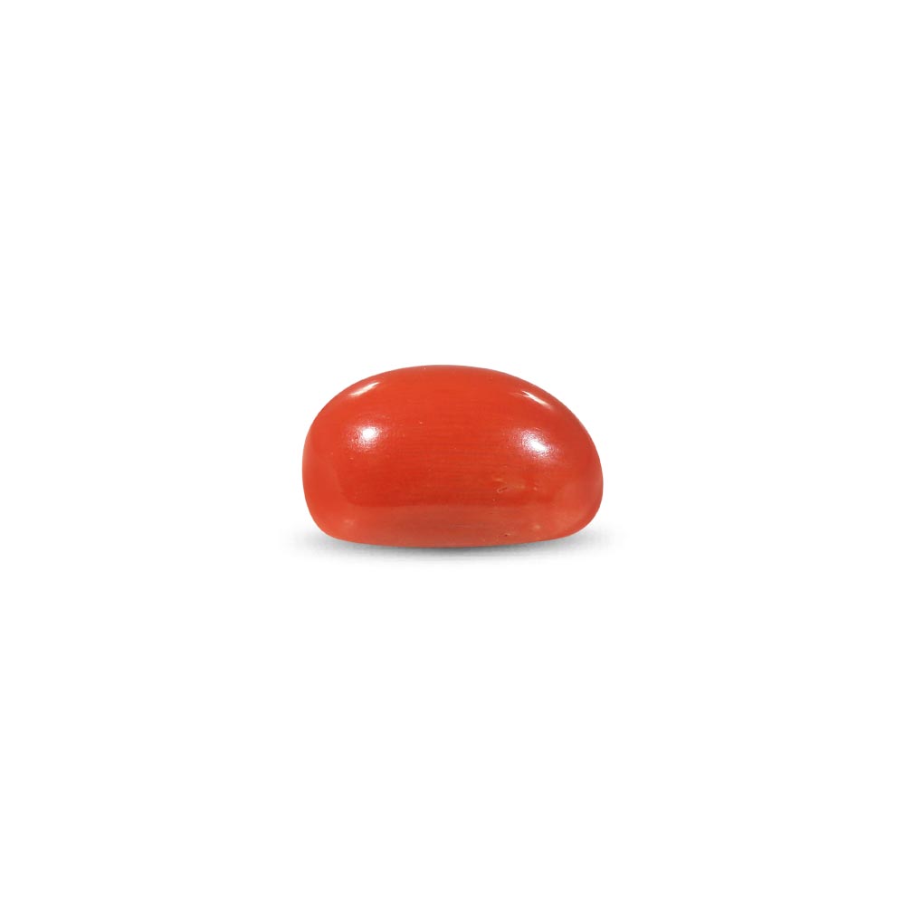 Red Coral - 8.97 Carat