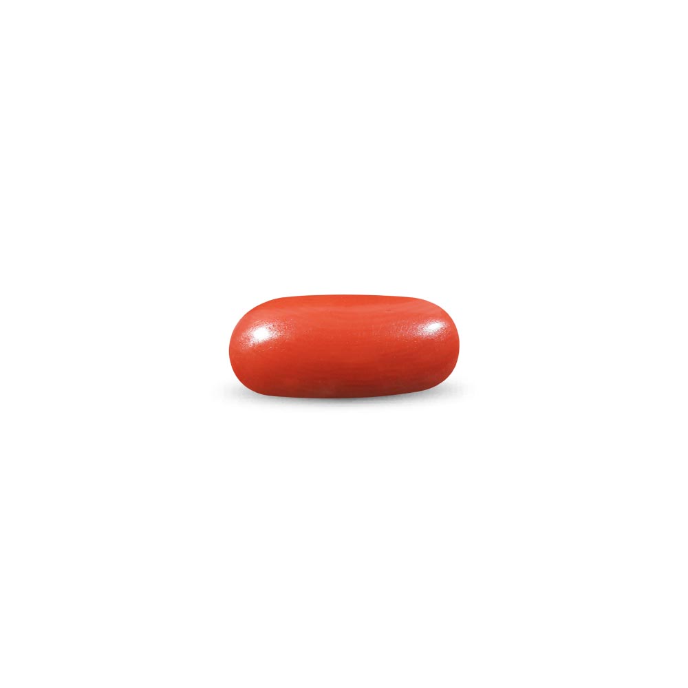 Red Coral - 9.15 Carat