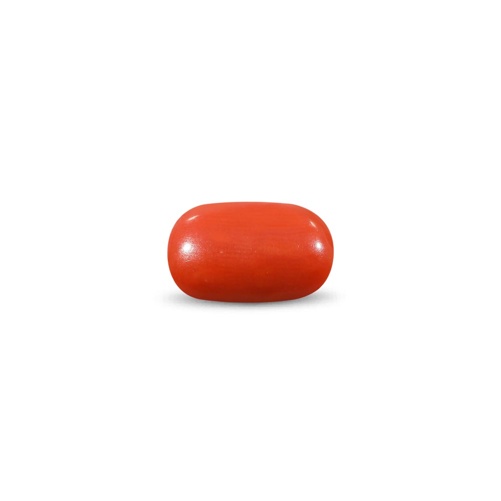 Red Coral - 9.24 Carat