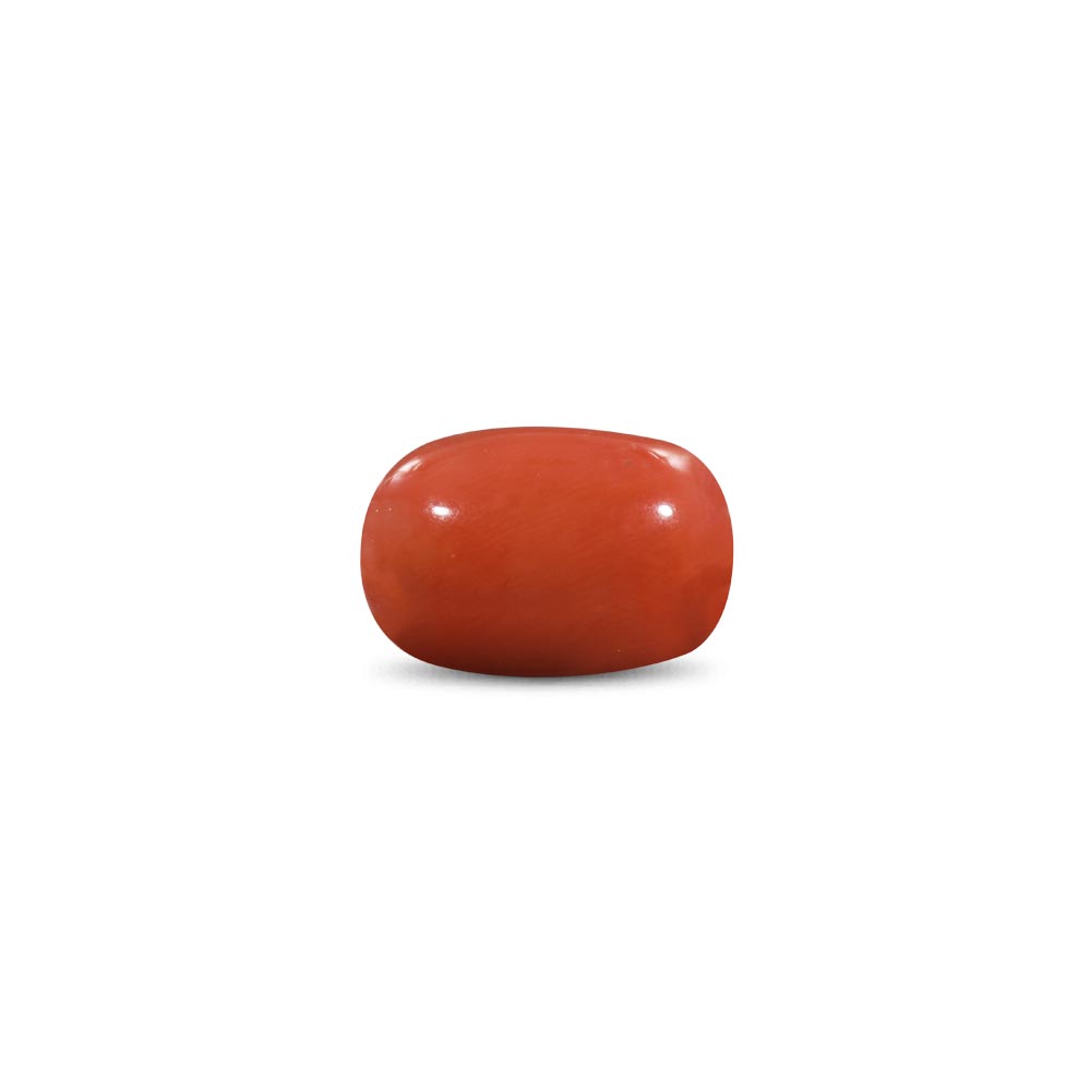Red Coral - 9.31 Carat