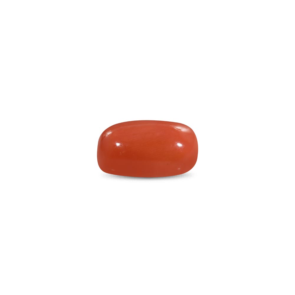 Red Coral - 9.31 Carat
