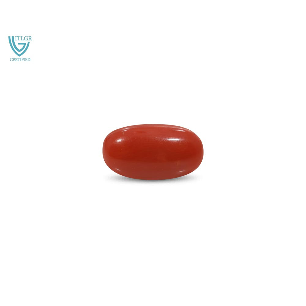Red Coral - 9.32 Carat