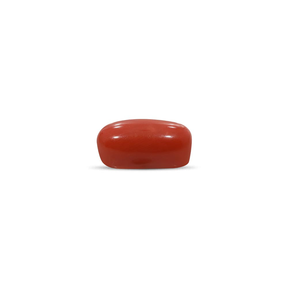 Red Coral - 9.32 Carat