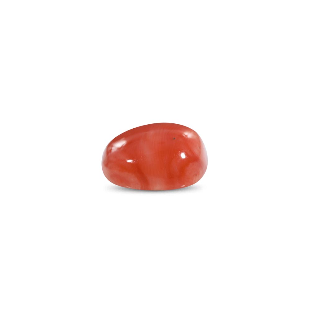 Red Coral - 9.37 Carat
