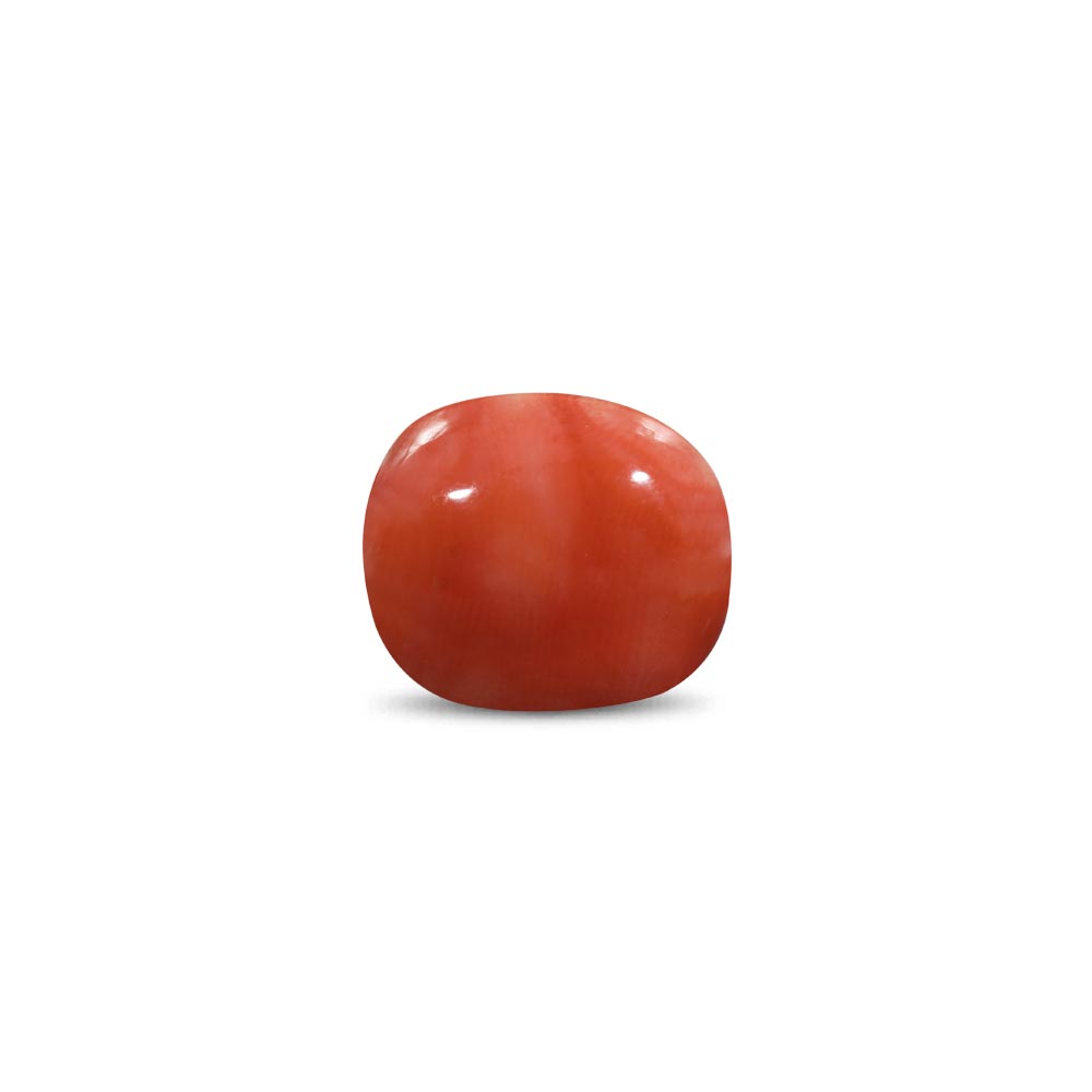 Red Coral - 9.37 Carat