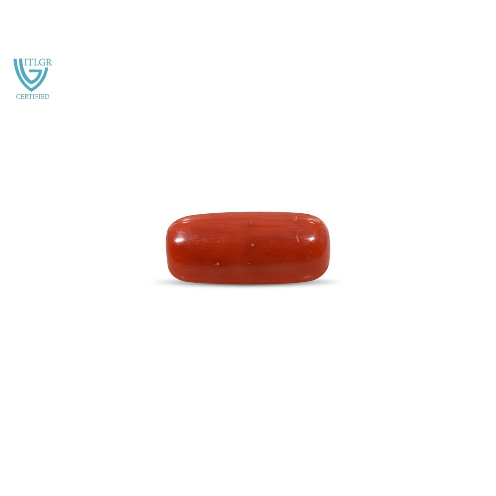Red Coral - 9.41 Carat