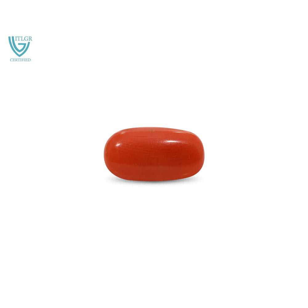 Red Coral - 9.48 Carat