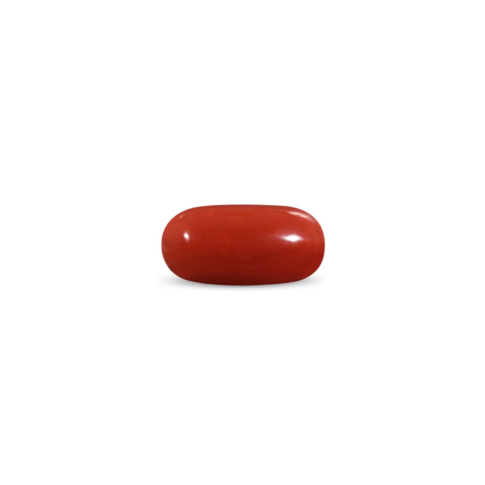 Red Coral - 9.56 Carat