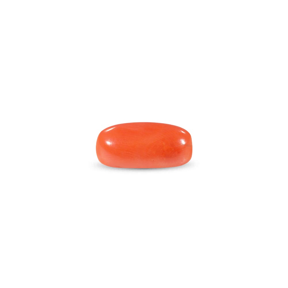 Red Coral - 9.63 Carat