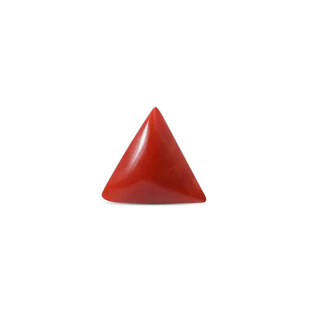Red Coral - 9.76 Carat