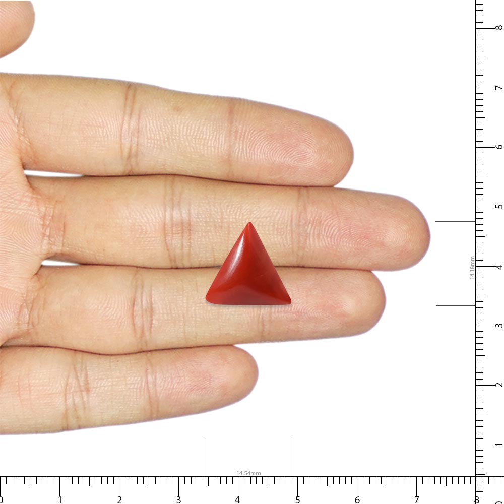 Red Coral - 9.76 Carat