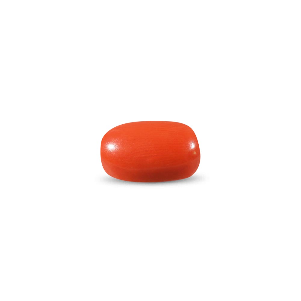 Red Coral - 9.84 Carat