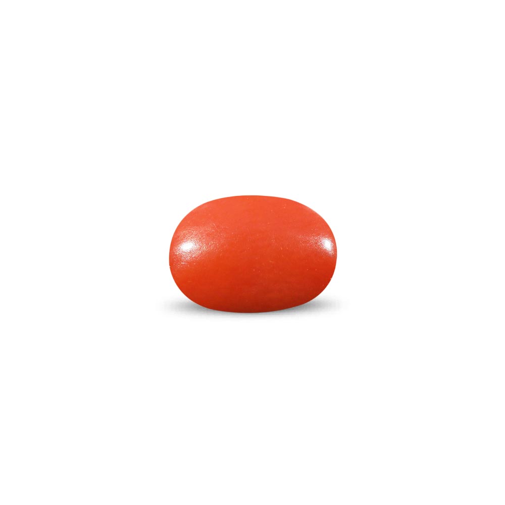Red Coral - 9.84 Carat