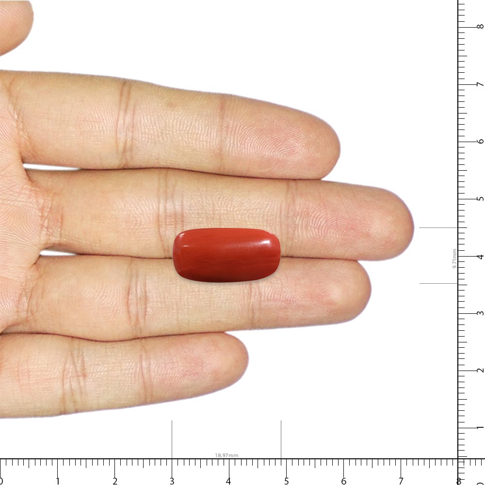 Red Coral - 9.86 Carat
