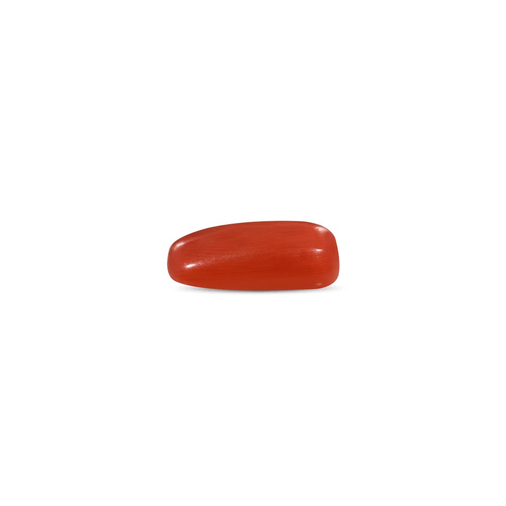 Red Coral - 9.86 Carat
