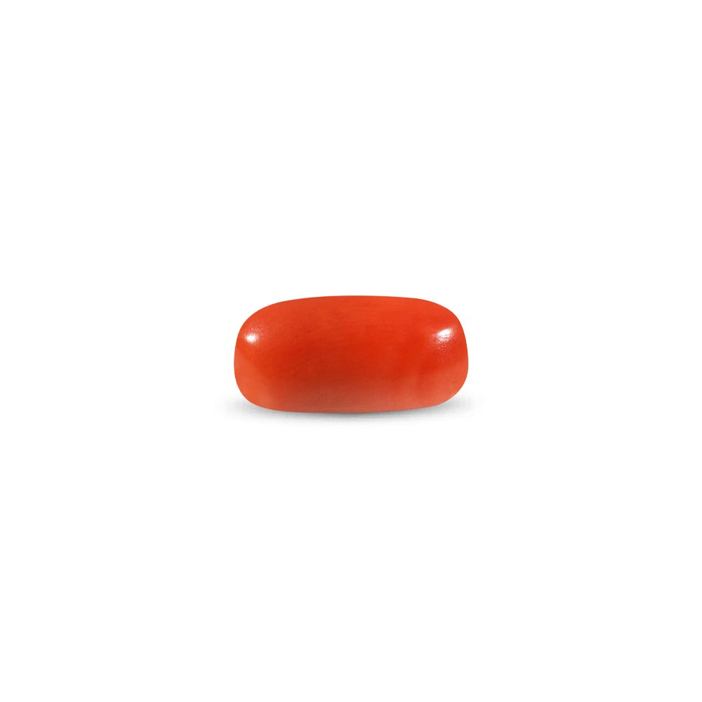 Red Coral - 9.88 Carat