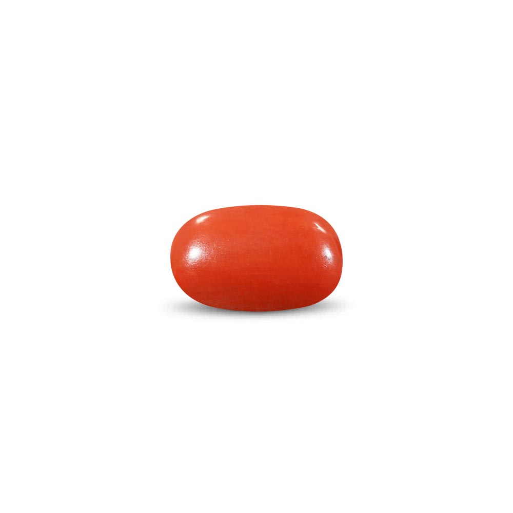 Red Coral - 9.88 Carat