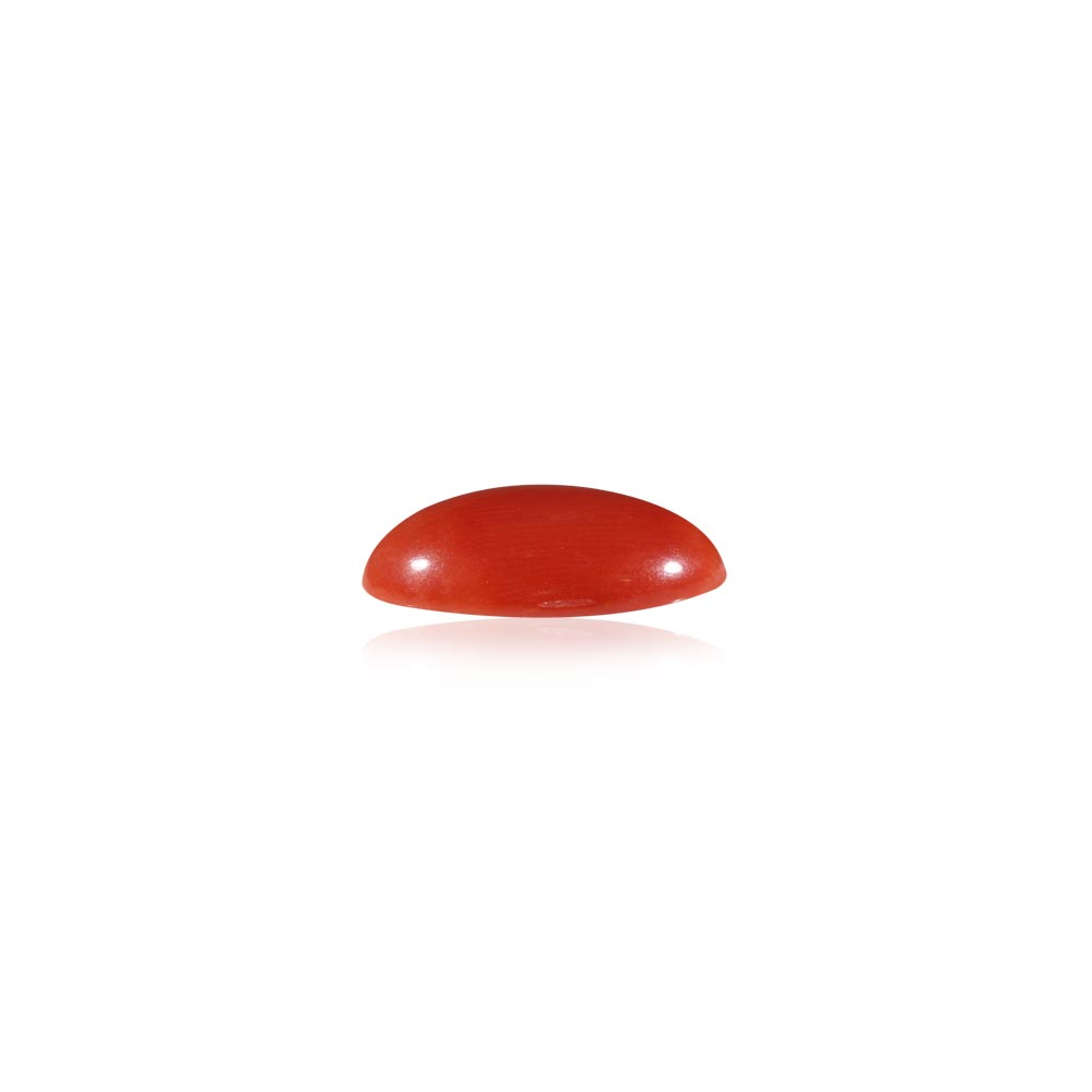 Red Coral - 9.97 Carat