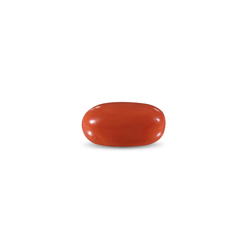 Red Coral -10.21 Carat