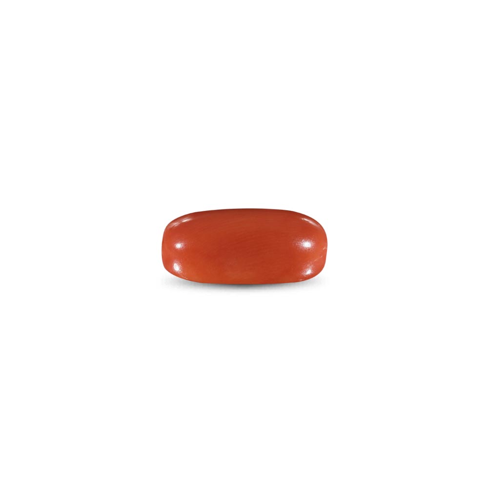 Red Coral -10.21 Carat