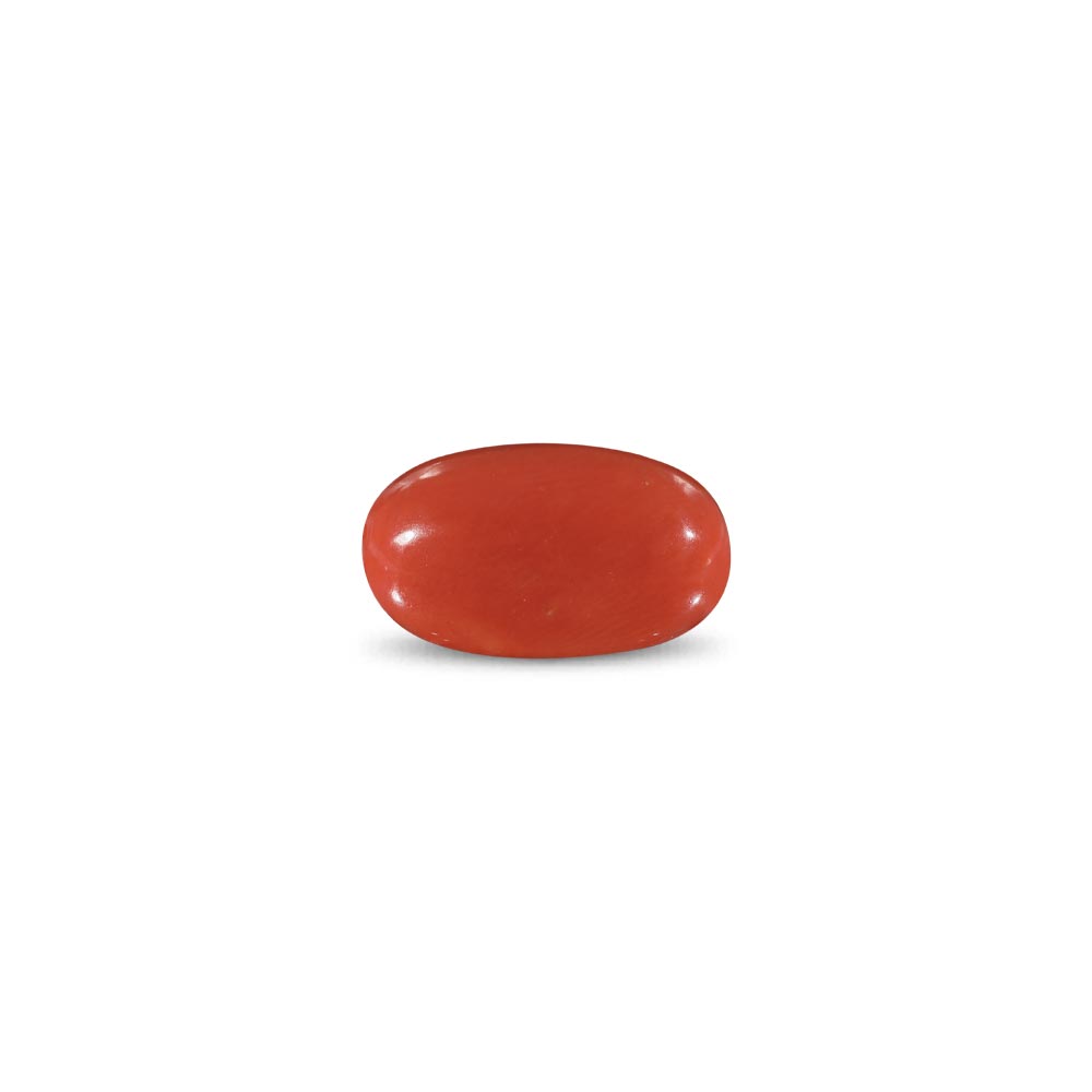 Red Coral -10.43 Carat