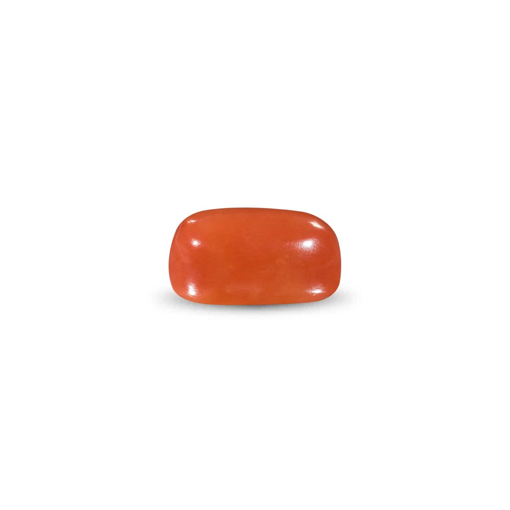 Red Coral -10.45 Carat