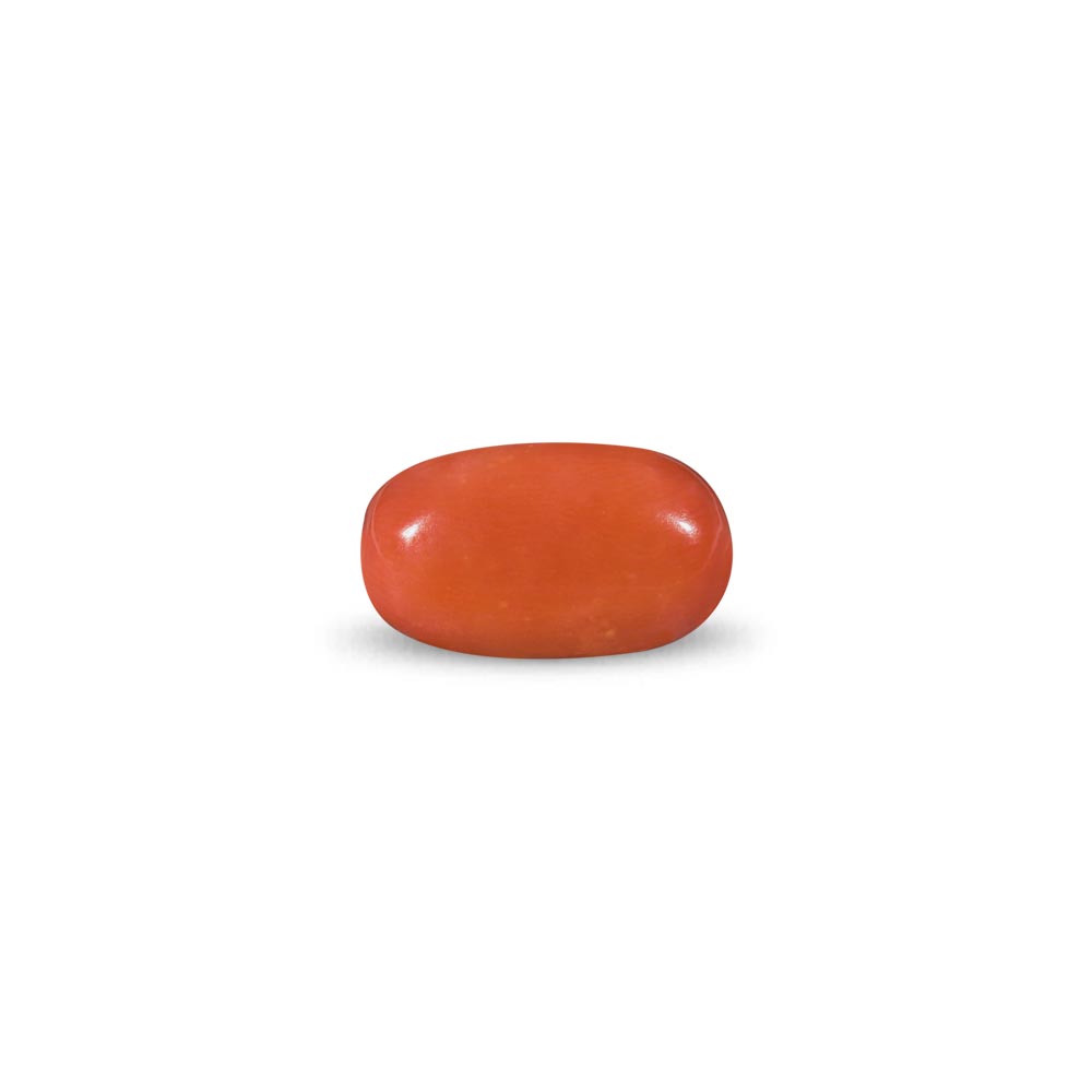 Red Coral -10.45 Carat