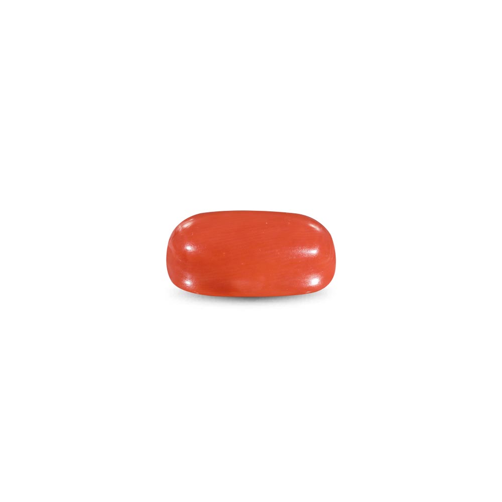 Red Coral -10.58 Carat