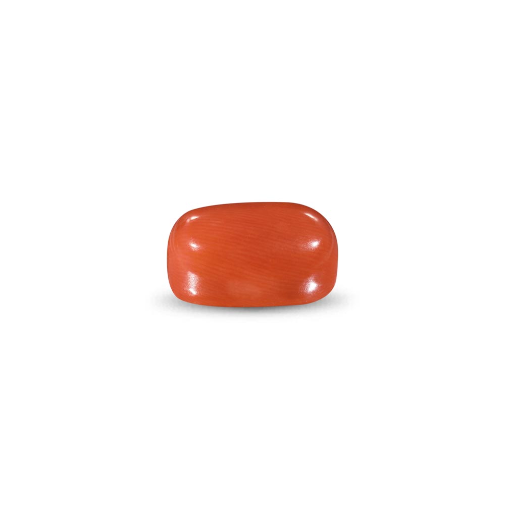 Red Coral -10.69 Carat