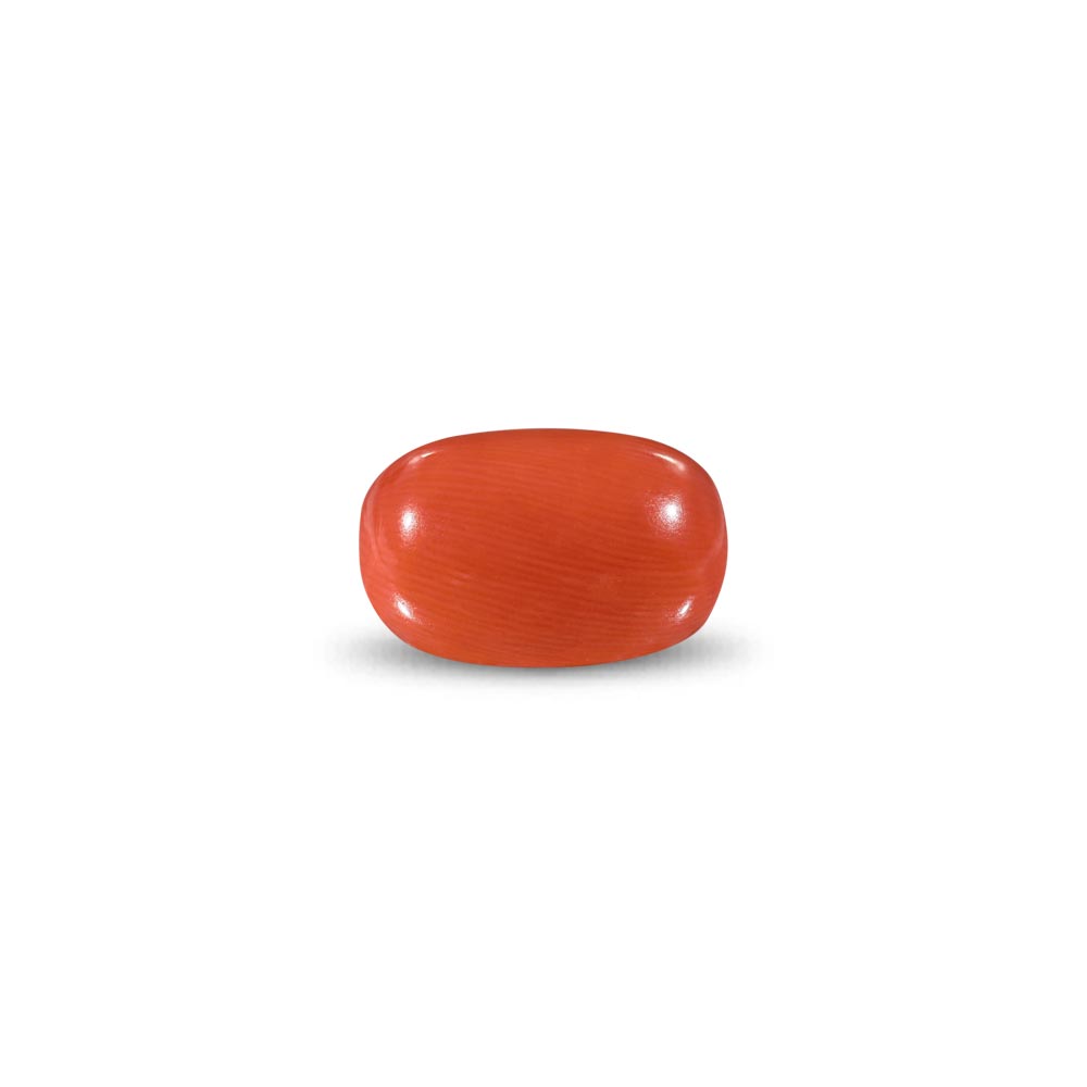 Red Coral -10.69 Carat