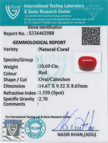 Red Coral -10.69 Carat