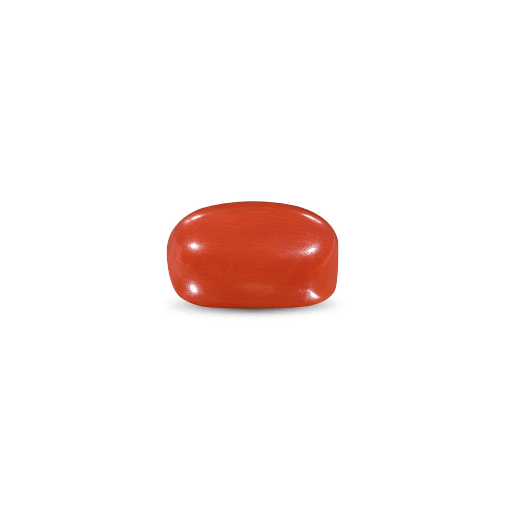 Red Coral -10.71 Carat