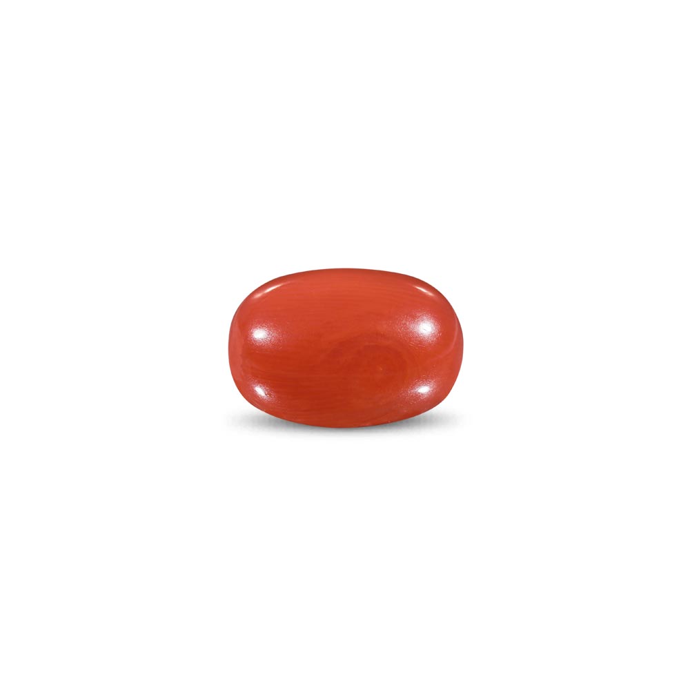 Red Coral -10.71 Carat