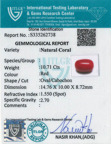 Red Coral -10.71 Carat