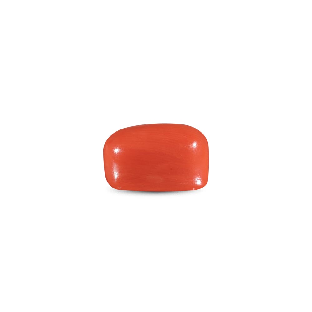 Red Coral -10.73 Carat