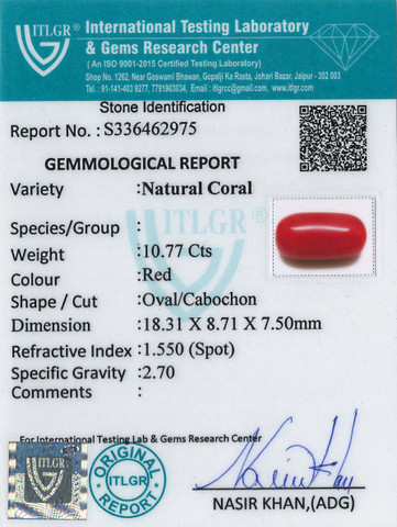 Red Coral -10.77 Carat