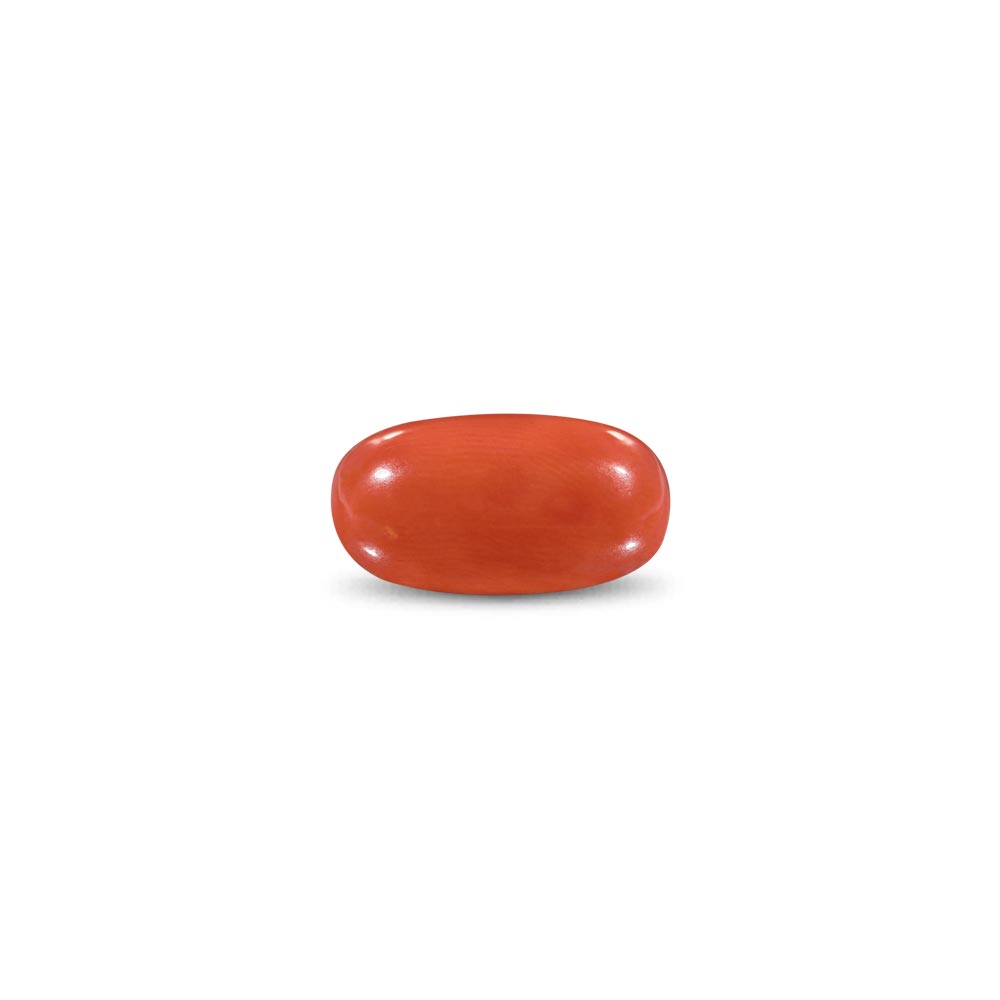 Red Coral -10.93 Carat