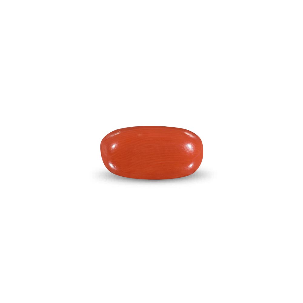 Red Coral -11 Carat