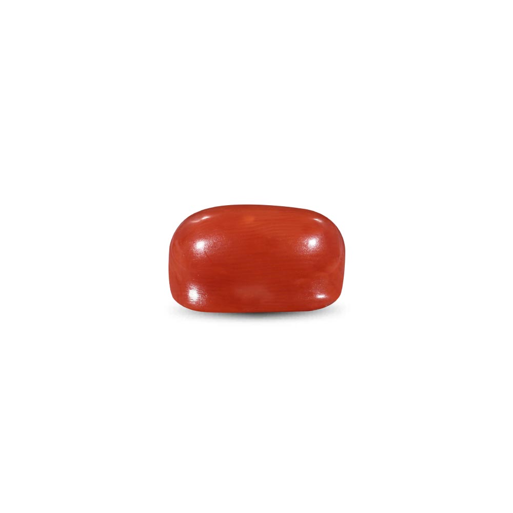 Red Coral -11.27 Carat
