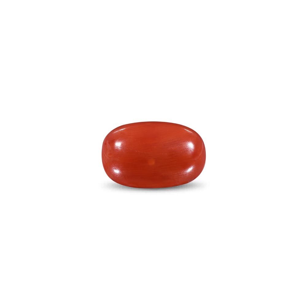 Red Coral -11.27 Carat