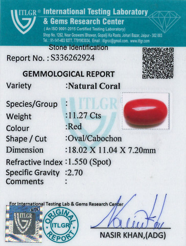 Red Coral -11.27 Carat