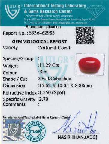 Red Coral -11.29 Carat