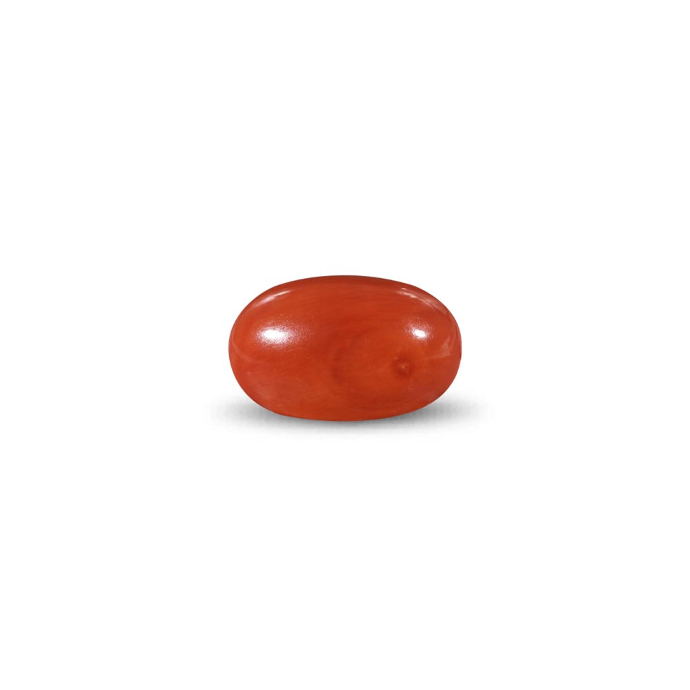 Red Coral -11.29 Carat