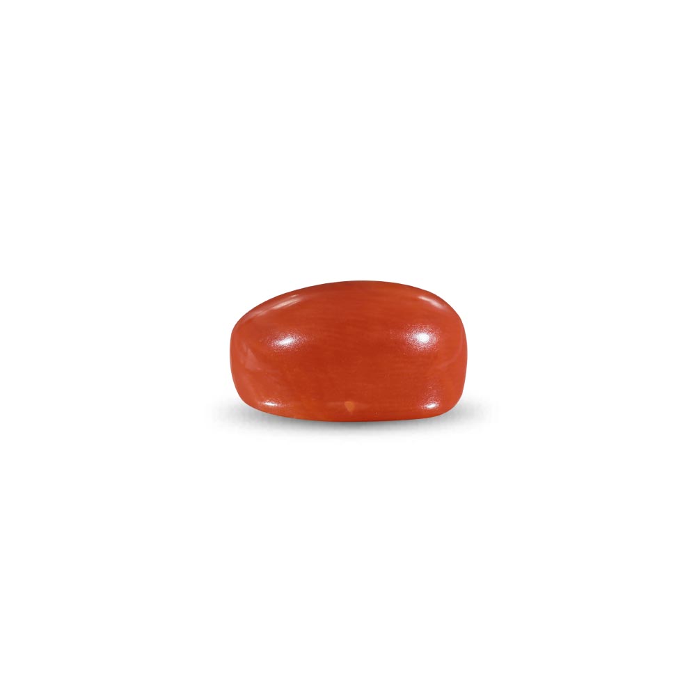 Red Coral -11.29 Carat