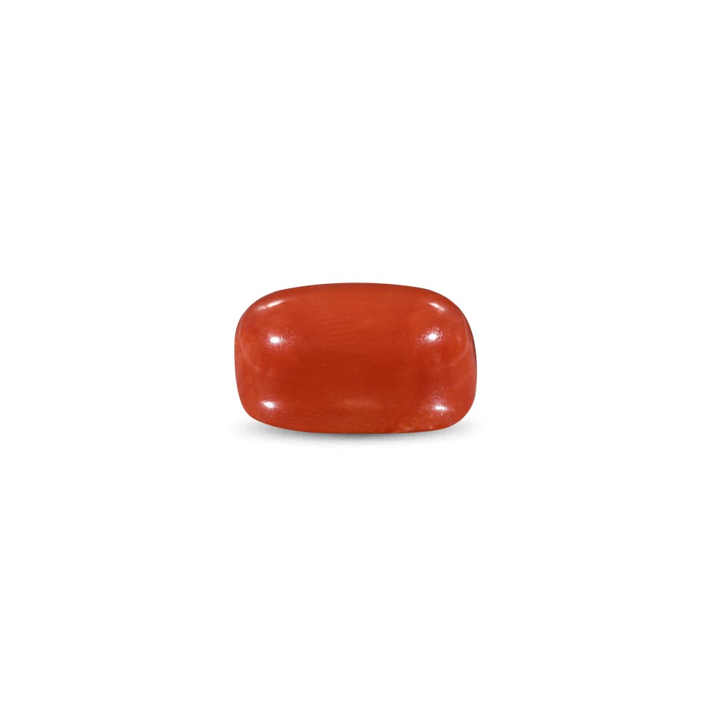 Red Coral -11.31 Carat