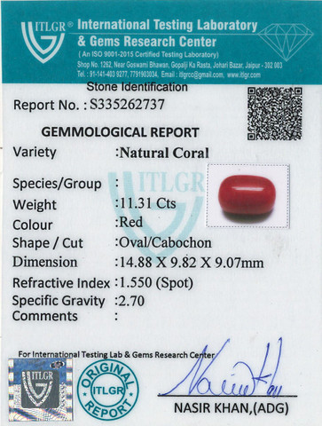 Red Coral -11.31 Carat