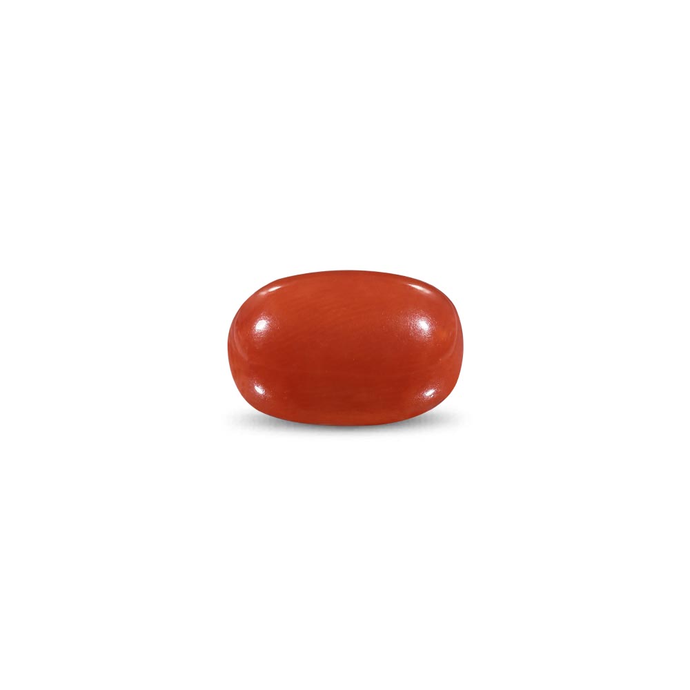 Red Coral -11.31 Carat