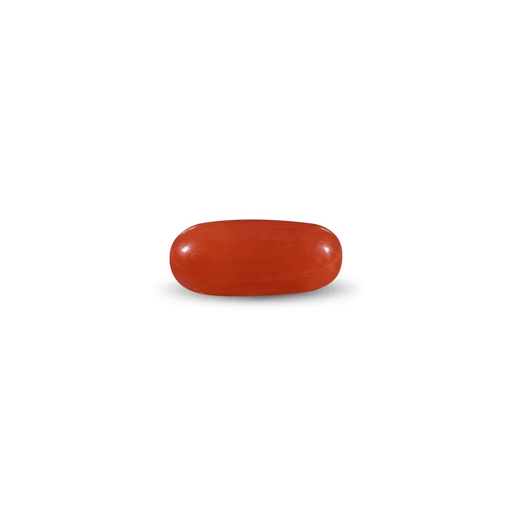Red Coral -11.41 Carat