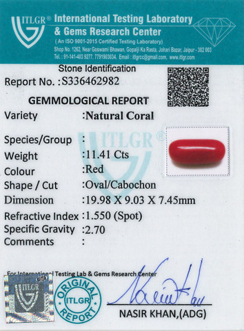 Red Coral -11.41 Carat